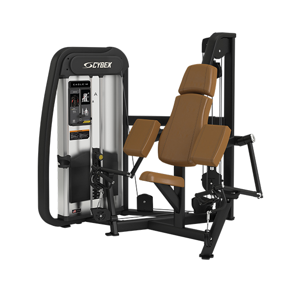 Cybex Eagle NX Arm Curl